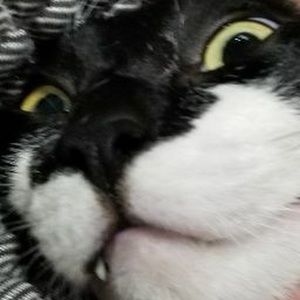 Meet your Posher, Noah the